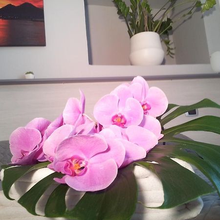 B&B Solimena Naples Luaran gambar